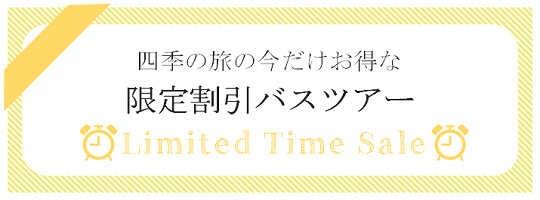 限定割引バスツアー