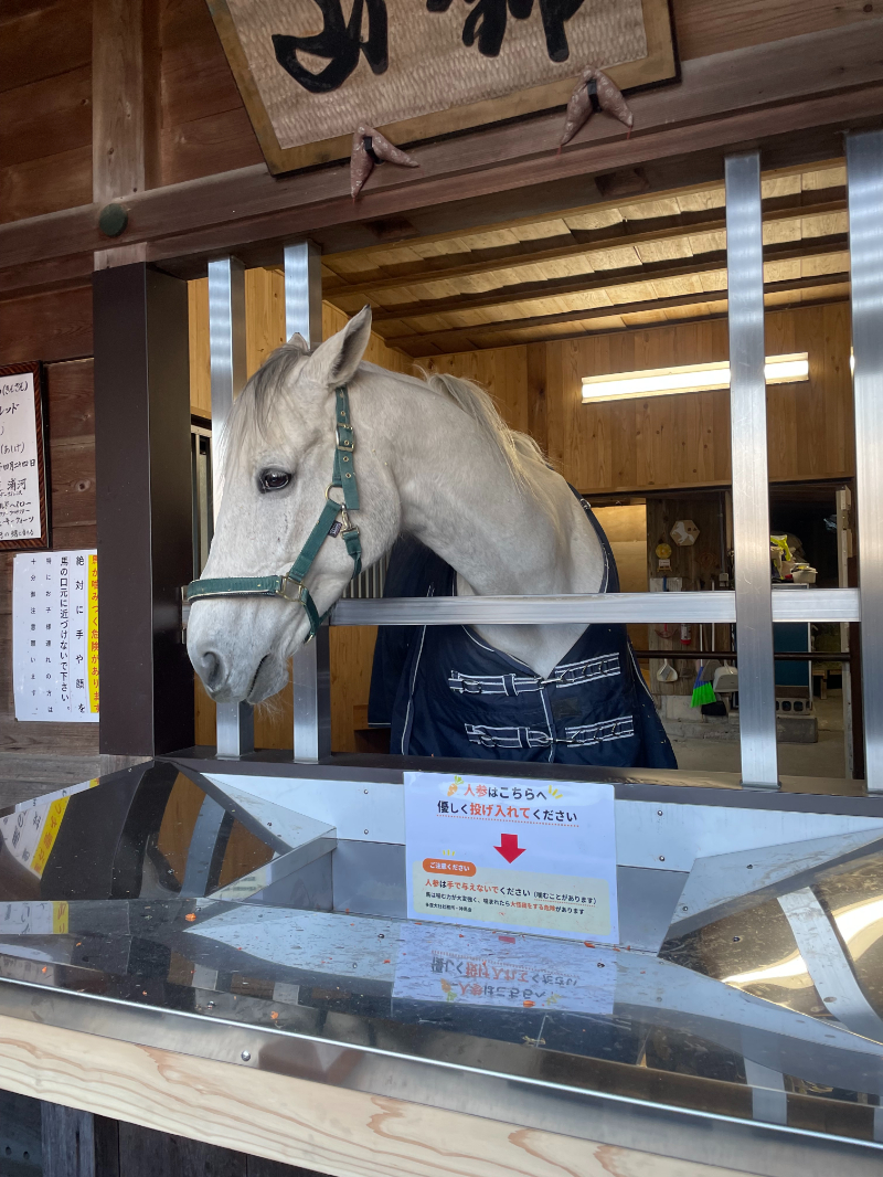東国三社バスツアー