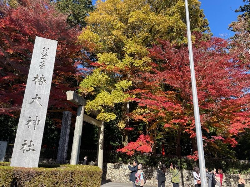 田子と行く福旅シリーズ フェーズ3‼