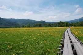 ハイキングツアー🗻ご参加頂いたお客様の声