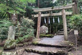 浅間神社五社巡りに参加してきました