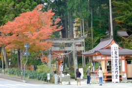 岩手県最強のパワースポット『達谷窟毘沙門堂』に行ってきました!!