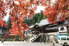 箱根・最乗寺の紅葉