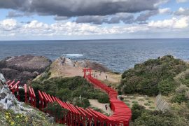 飛行機で行く「元乃隅神社・出雲大社」