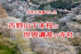 今年も見事でした！吉野山千本桜と世界遺産の寺社