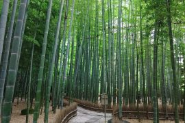 竹寺へ