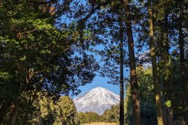 一富士(ふじ)二鷹(たか)三茄(なすび)とは言うけれど・・・