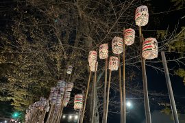 【関東の奇祭】地元の面白いお祭り