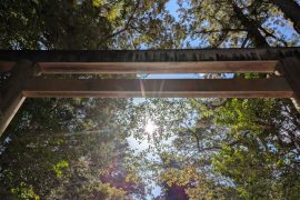 やっぱりお伊勢参りは、最高！！〜旅行の原点にたちかえるの巻〜