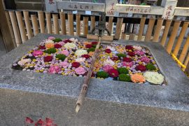 気象神社にお参りしました！