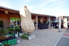 道の駅木更津うまくたの里