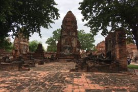 リニューアル！新タイツアーの魅力