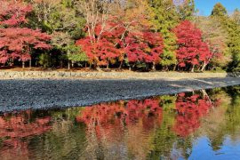 伊勢神宮内宮・椿大神社