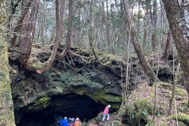 富士山の絶景「足和田山ハイキング」