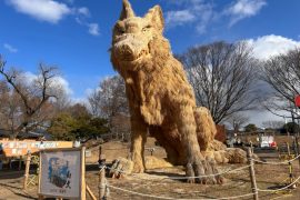 筑前町の巨大わらかがし
