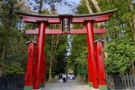 全国一宮巡り紀行『弥彦神社』(越後国/新潟)