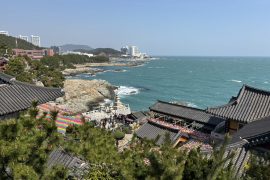 【視察レポート】韓国釜山の魅力を3日で満喫!