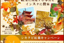 インスタフォトコンテスト開催中❣