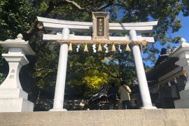 新ツアー🚌1本目でした