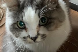 私の癒やし😍